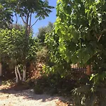 Olympos Mocamp Feriepark Kaş