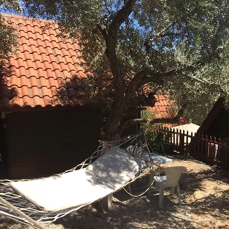 Olympos Mocamp