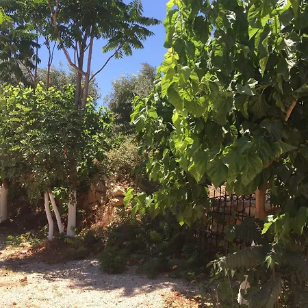 Olympos Mocamp Village de vacances Kaş