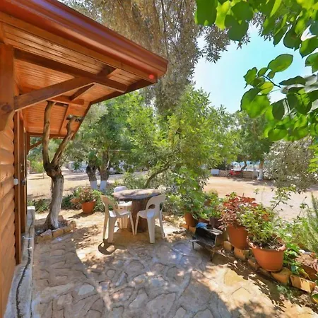 Olympos Mocamp كاس
