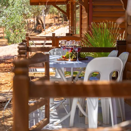 Olympos Mocamp كاس