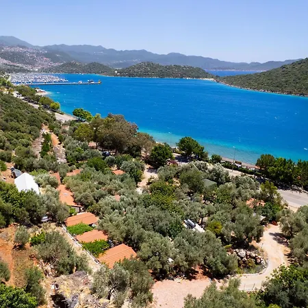 Olympos Mocamp كاس