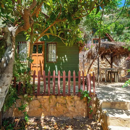 Olympos Mocamp كاس