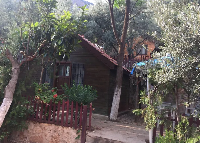 Olympos Mocamp 3* Kaş