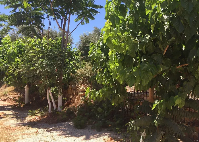 Olympos Mocamp Vakantiepark Kaş