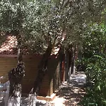Olympos Mocamp 3*