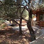 Olympos Mocamp Semesterpark Kaş