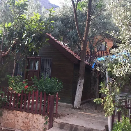 Olympos Mocamp 3* Kaş